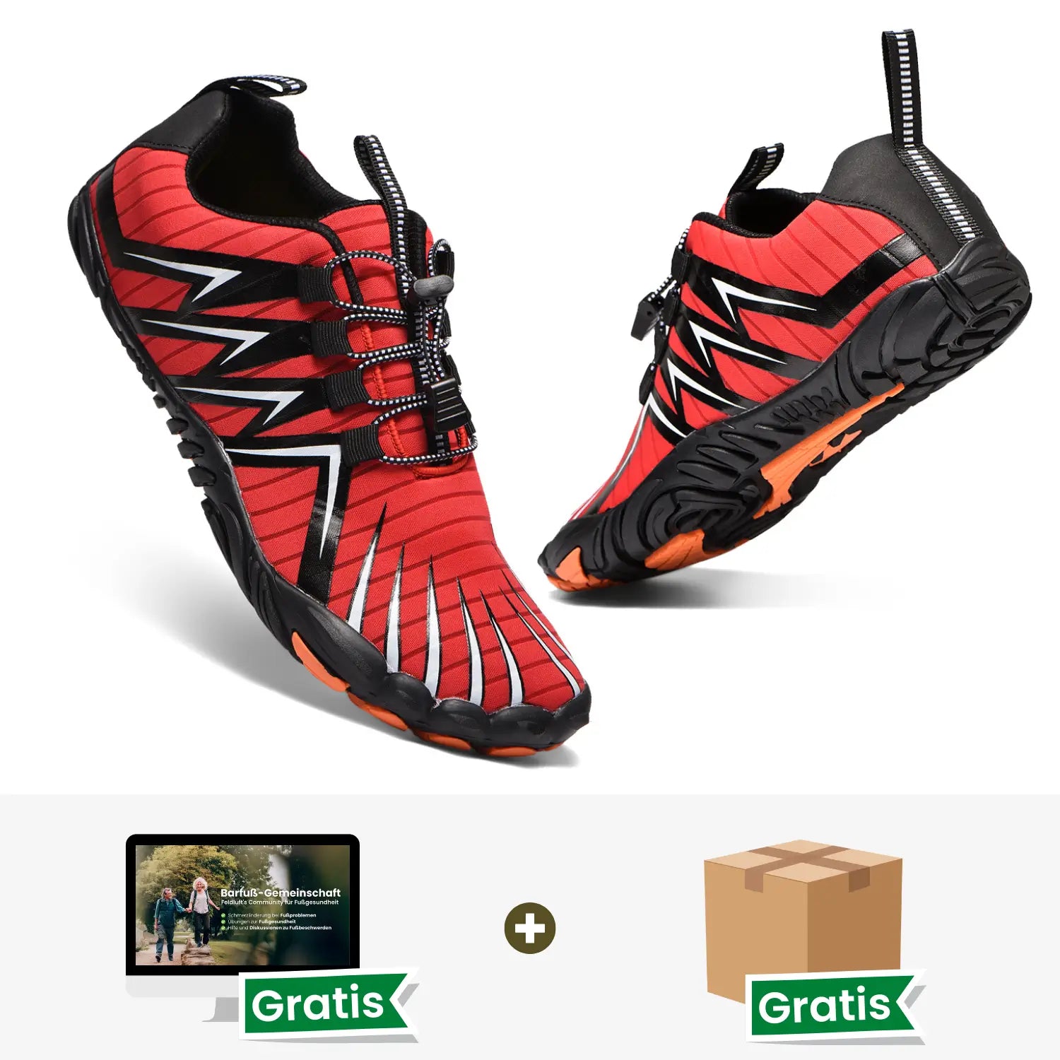 Explorer Starter-Paket