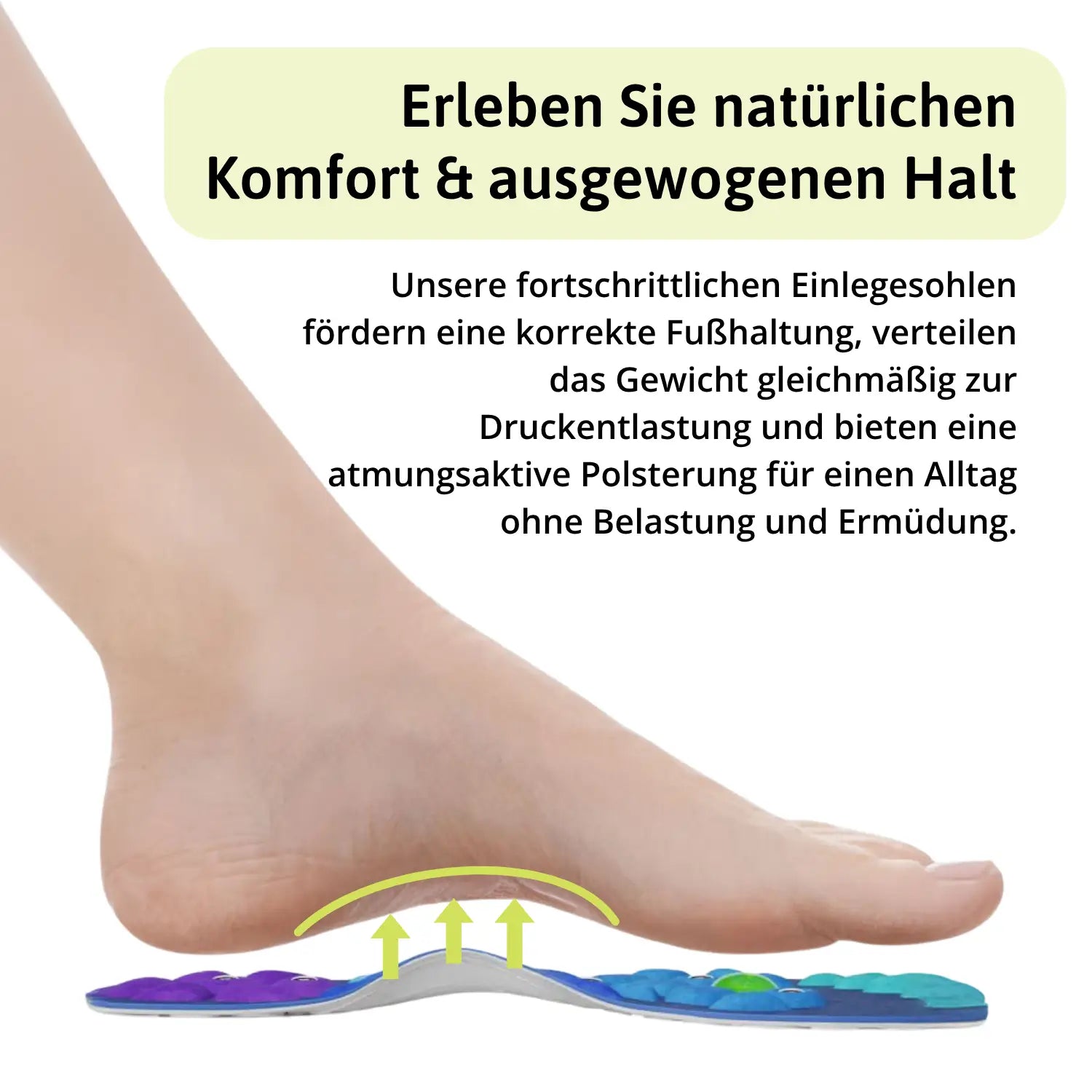 Explorer Therapie Paket