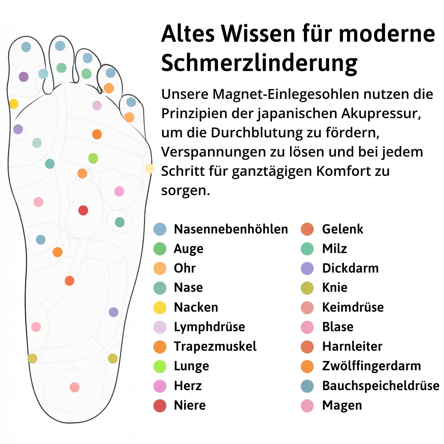 Explorer Therapie Paket